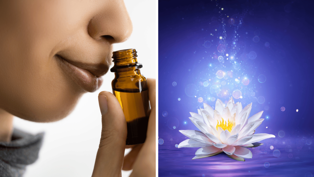 Blue Lotus Oil